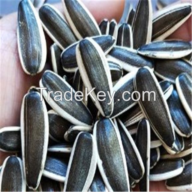 High Quality Black Sunflower Seeds 361  Chinese