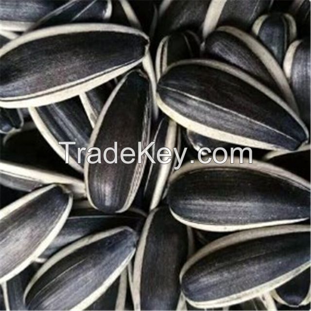 Large grain and low price sunflower seeds