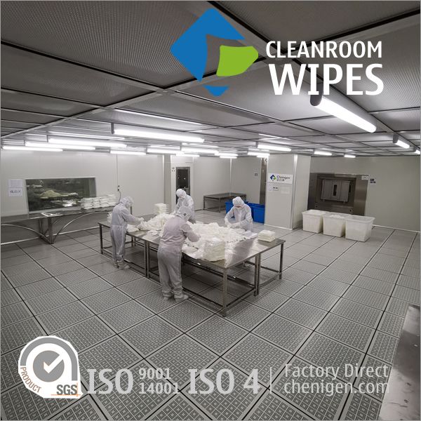 2-Ply Polyester Wipes Cleanroom Wipers
