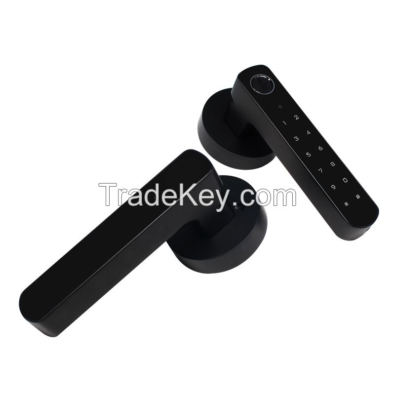Secukey Wireless Smart Door Lock with Tuya Bluetooth Access Control System