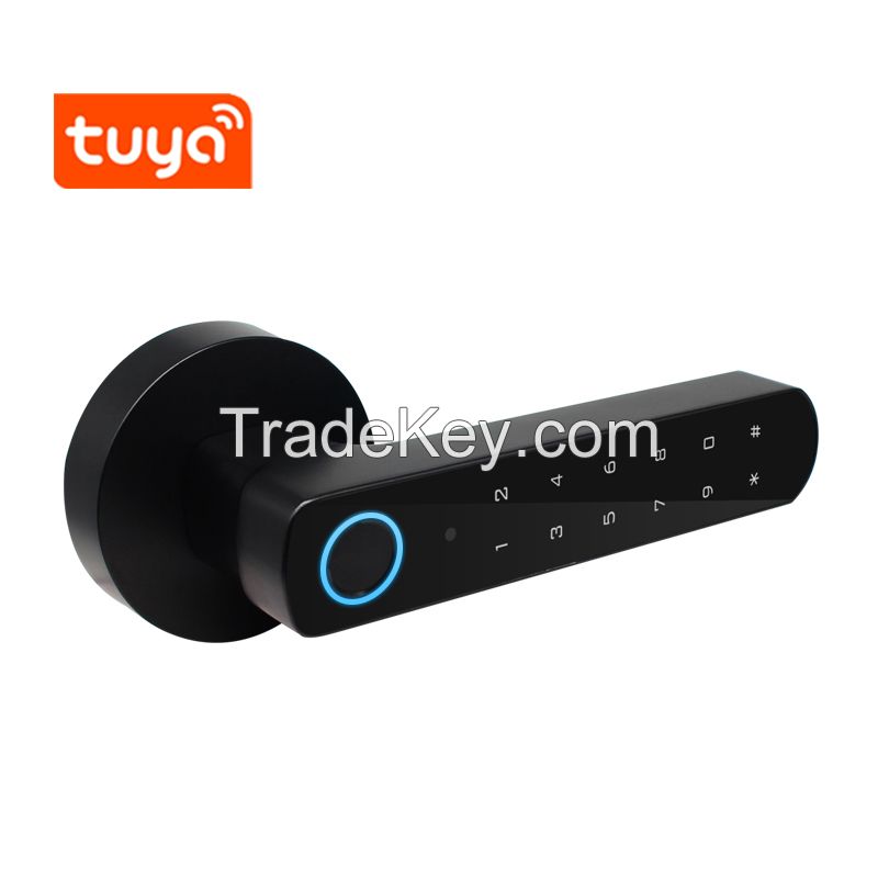 Secukey Wireless Smart Door Lock with Tuya Bluetooth Access Control System