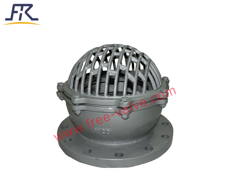 Carbon steel Bottom Foot Valve With Filter