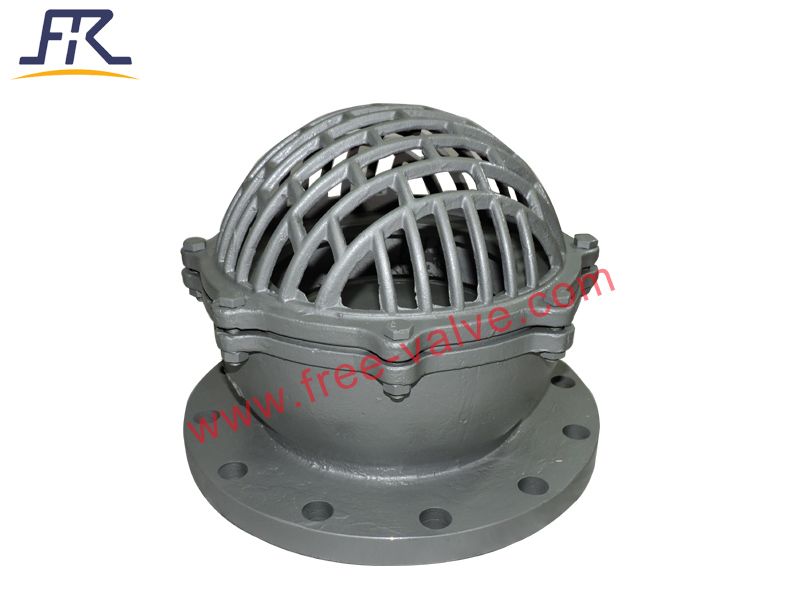 Bottom Foot Valve Check With Strainer