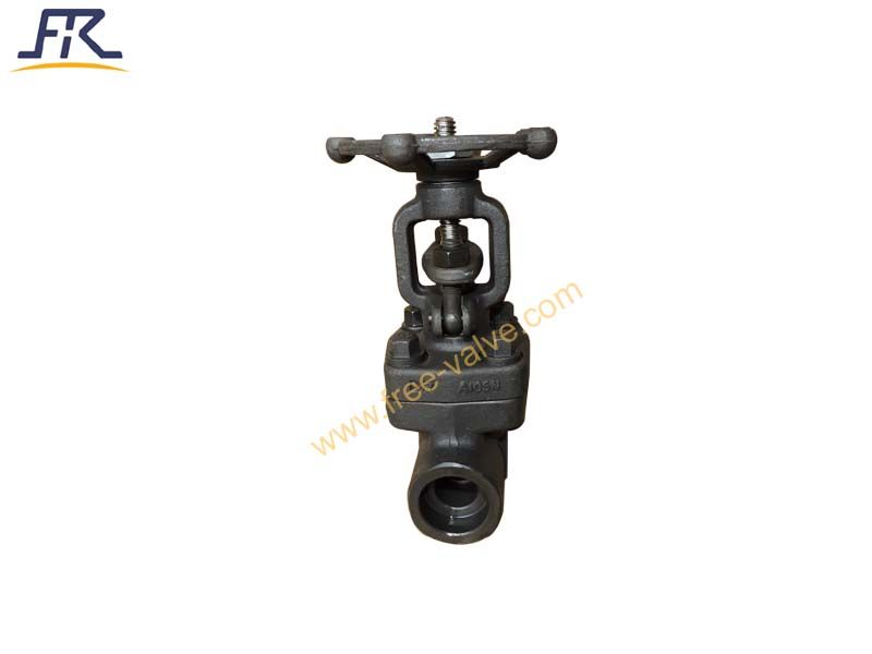 Forged Carbon Steel A105N Class 800 Gate Valve