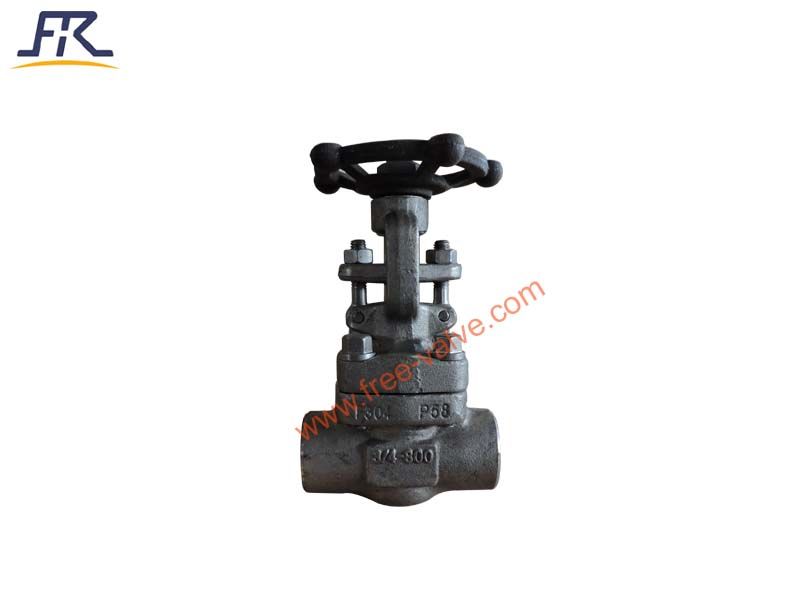 Forged Steel F304 Globe Valve with SW Ends