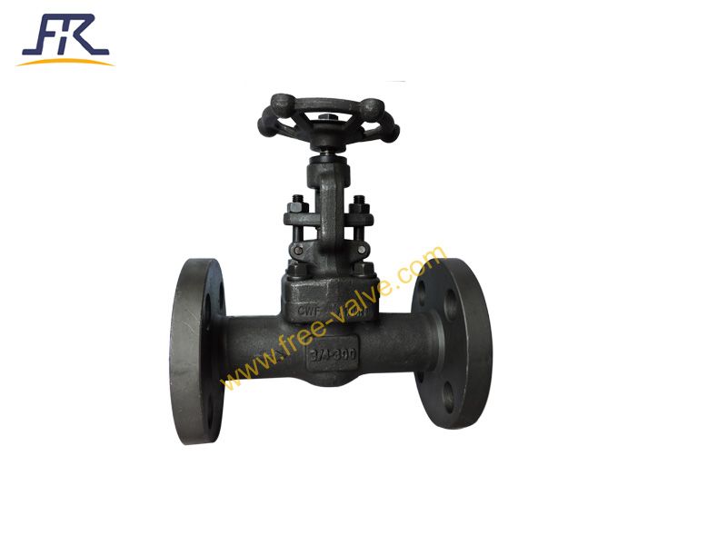 Flanged End Forged Steel Globe Valve