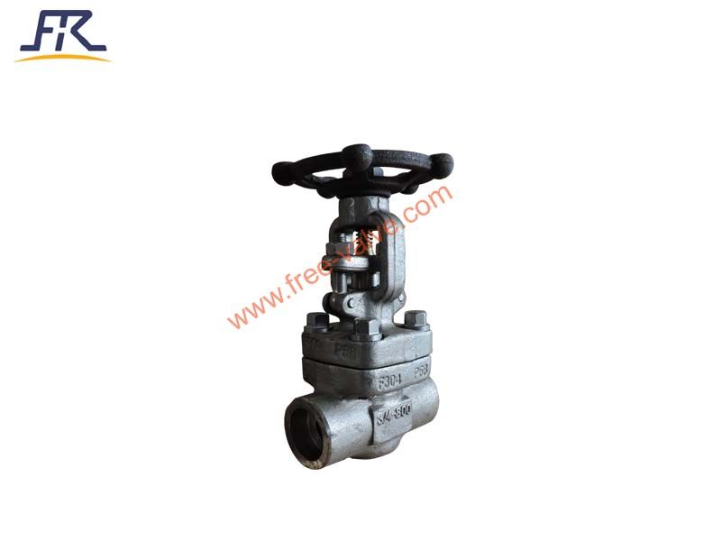 Forged Steel F304 Globe Valve with SW Ends