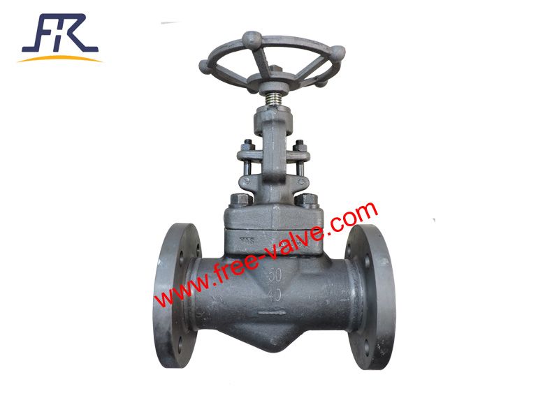 China high quality Flang End Forged Steel A105 Globe Valves