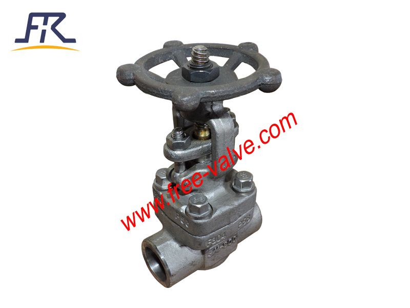 SW Ends Forged Steel carbon steel A105 Globe Valve