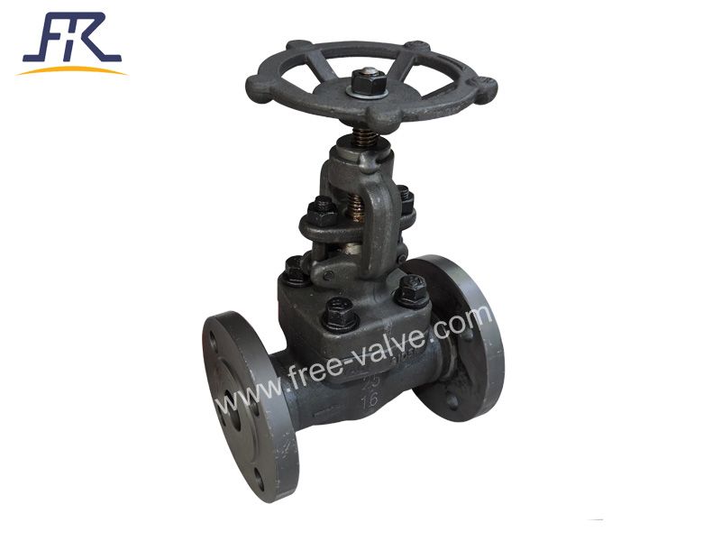 China high quality Flang End Forged Steel A105 Globe Valves