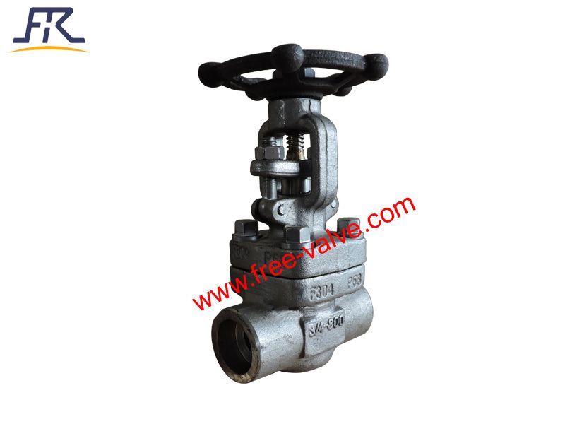 SW Ends Forged Steel carbon steel A105 Globe Valve