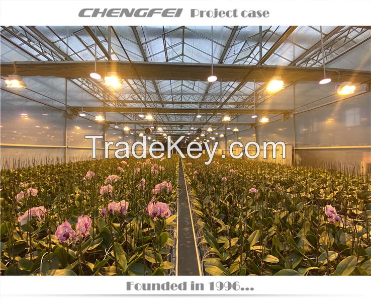 Agriculture Commercial Glass Multi Span Greenhouse