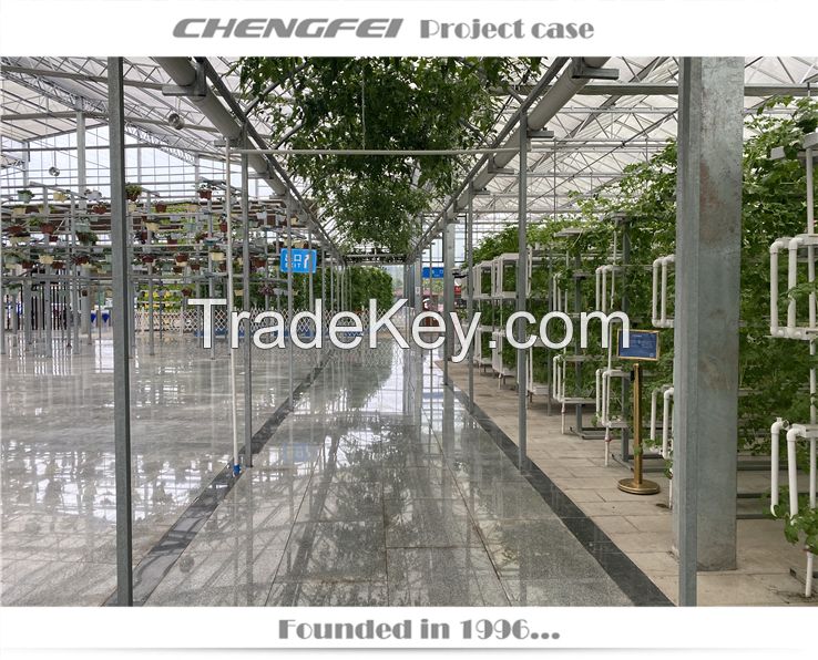 Agriculture Commercial Glass Multi Span Greenhouse