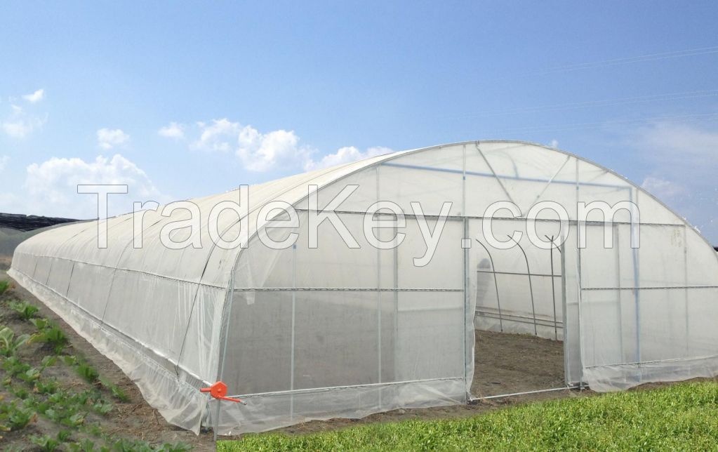 Tunnel Greenhouse with Low Price