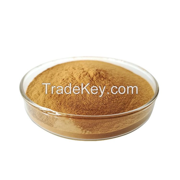 Natural MonkFruit Sweetener Sugar Substitute Mogroside V 50% Powder Organic Lo Han Guo Monk Fruit Extract