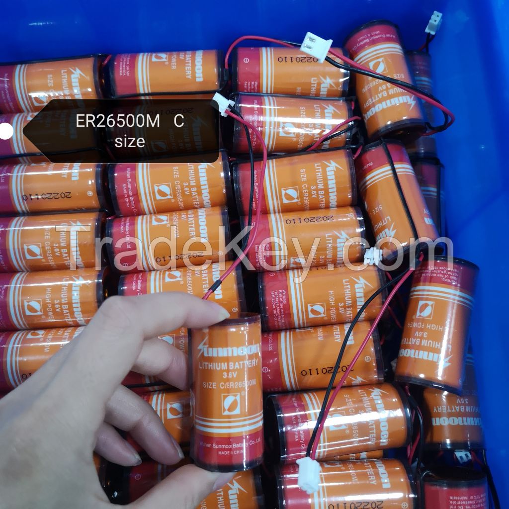 3.6V primary lithium battery ER34615M batteries pack Li-SOCl2 Lithium Cells for water meters