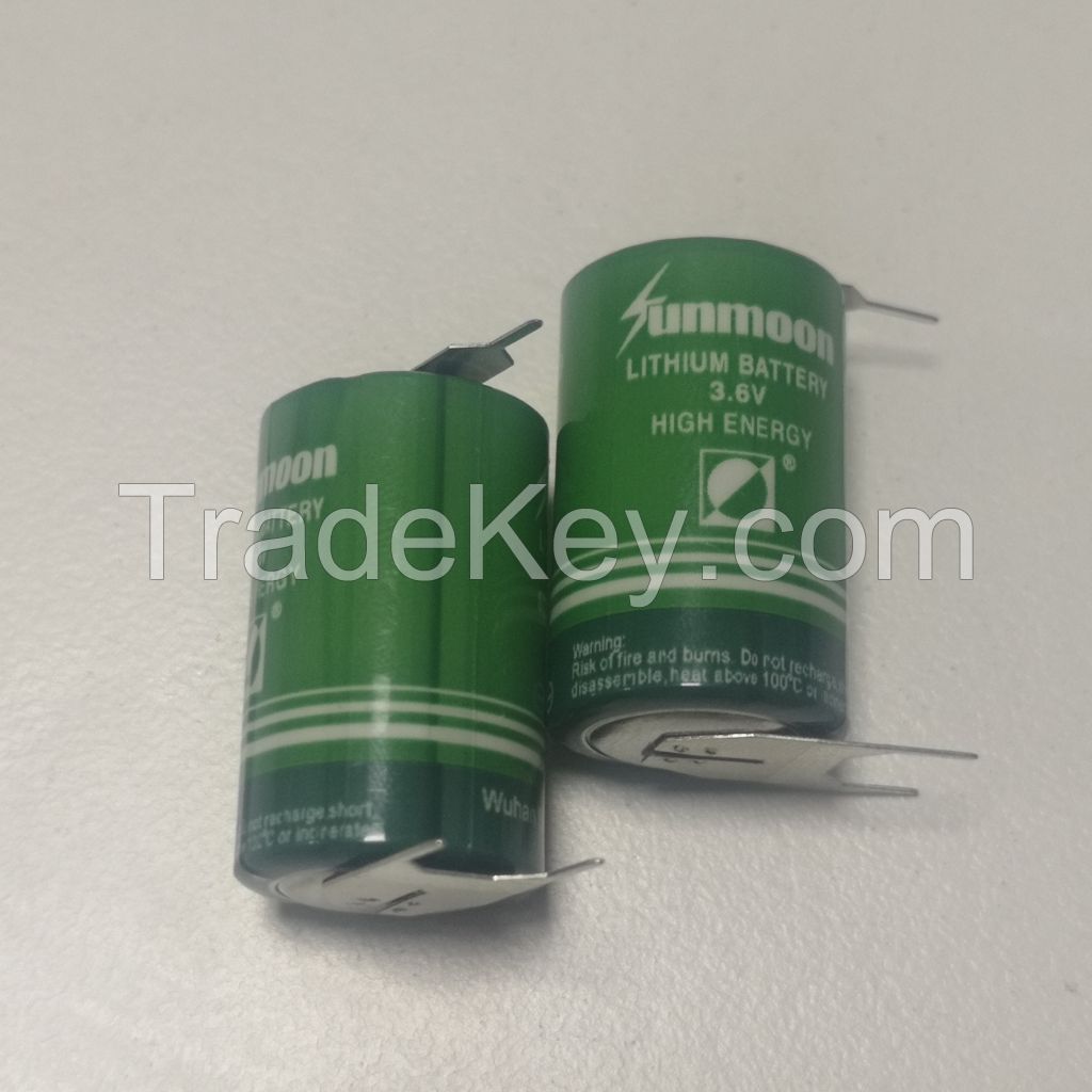 3.6V primary lithium battery14250 batteries with pin Li-SOCl2 Cylindrical Lithium Cells 