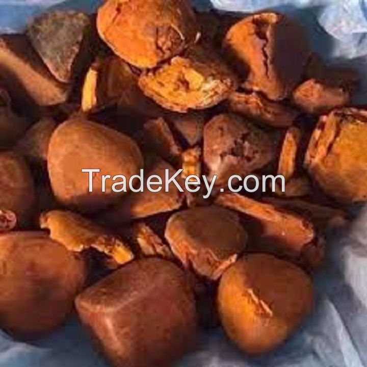 Quality Dried Cow Ox Gallstones / Cattle gallstones