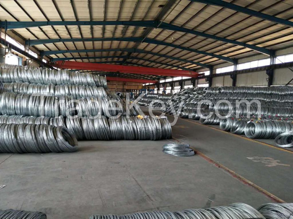 Low  price  BWG 18 galvanized iron wire