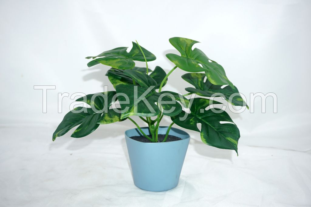 High Quality Artificial Plant Photography Props Real Touch Latex Turtle Leaf