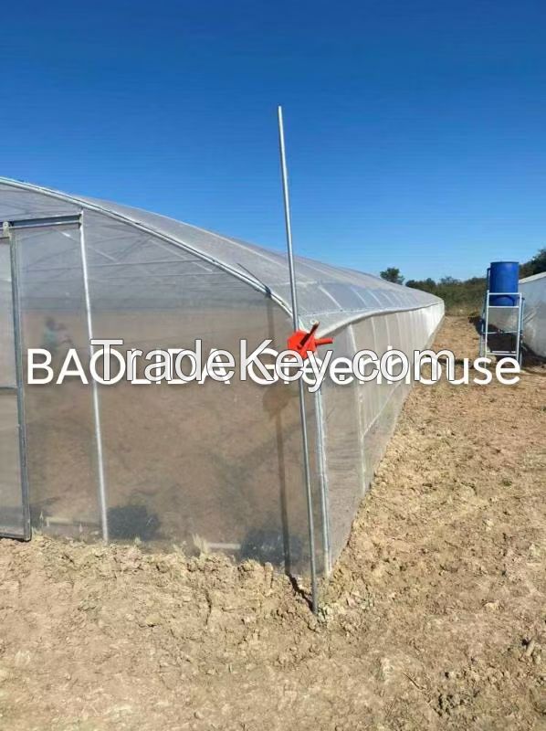 Low cost tunnel tomato greenhouse