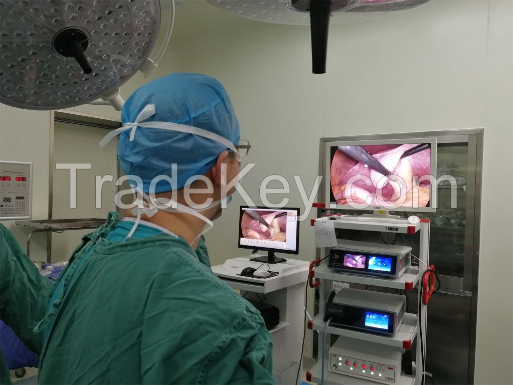 3D full hd camera system medical endoscopy camera 