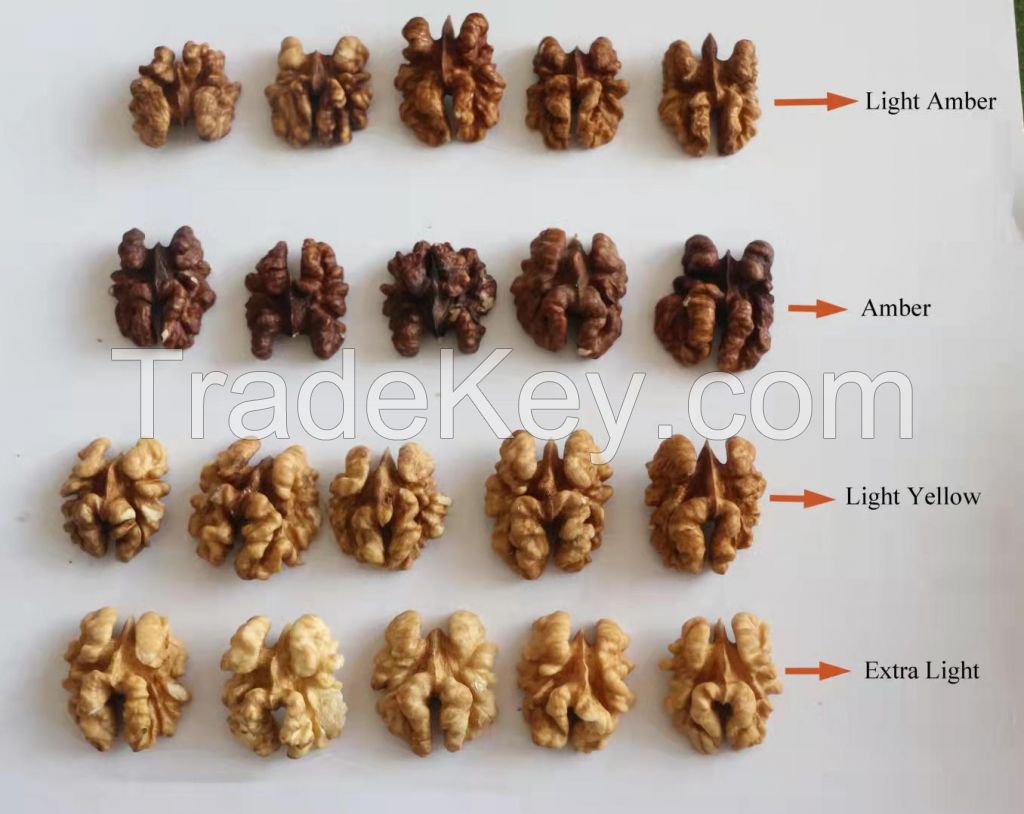 HACCP certificate Chinese Xinjiang raw walnut kernel dry butterflies kernel walnut halves