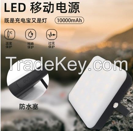 LED light with power bank