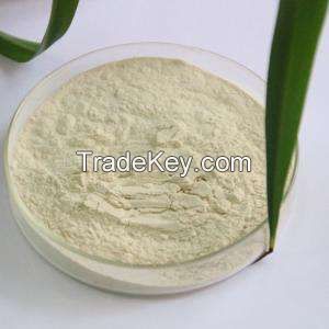 Garlic Extract Powder Garltc Clovrowderedd Extract Allicin