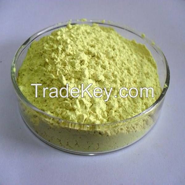 High Quality Pagodatree Flower Bud Extract Powder Rutin Sophora Japonica Extract Powder