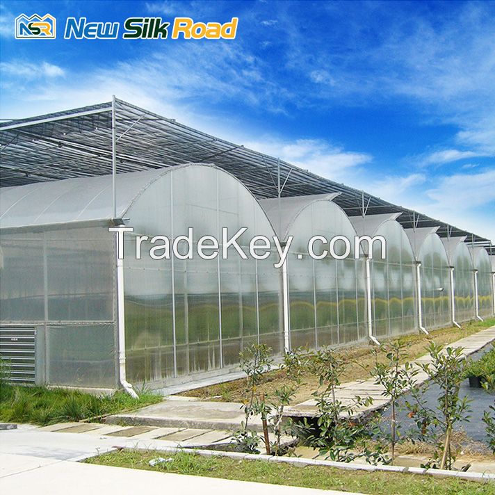 NSR Greenhouse Economical Plastic Vegetable Tunnel Greenhouse
