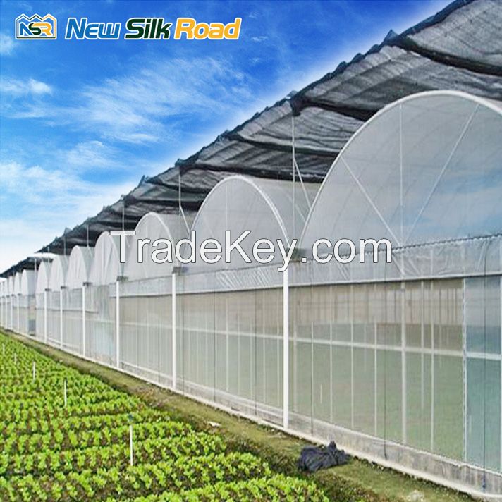 NSR Greenhouse Cheap Economical Plastic Vegetable Tunnel Greenhouse