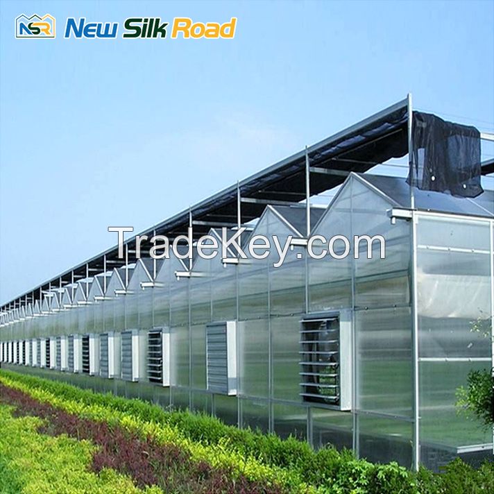 NSR Greenhouse Cheap Economical polycarbonate Greenhouse