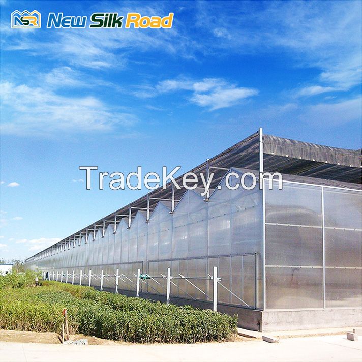 NSR Greenhouse Cheap Economical multi span polycarbonate Greenhouse