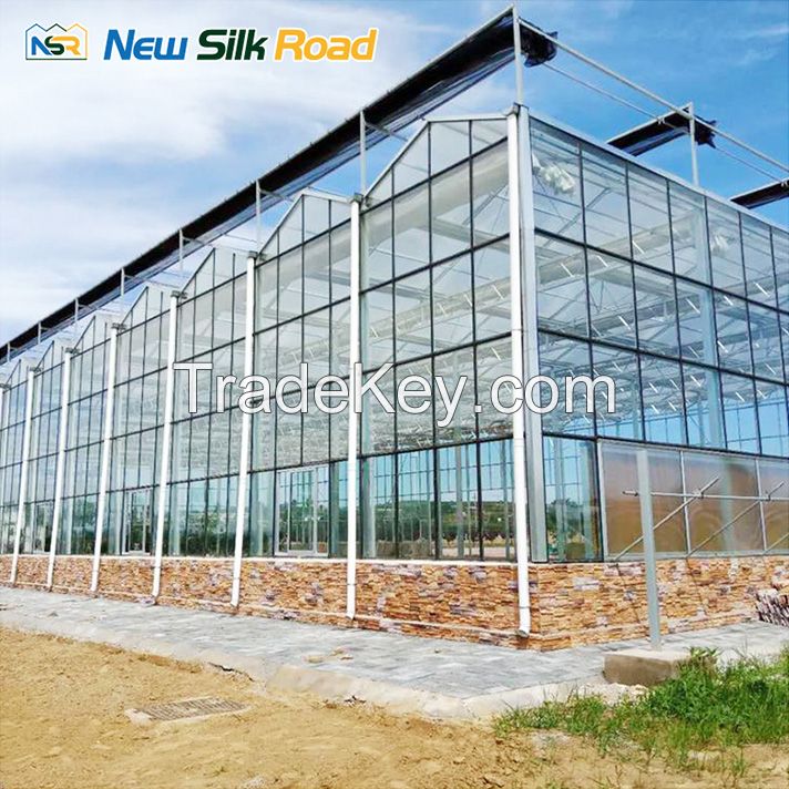 NSR Greenhouse Cheap Economical multi span Glass Greenhouse