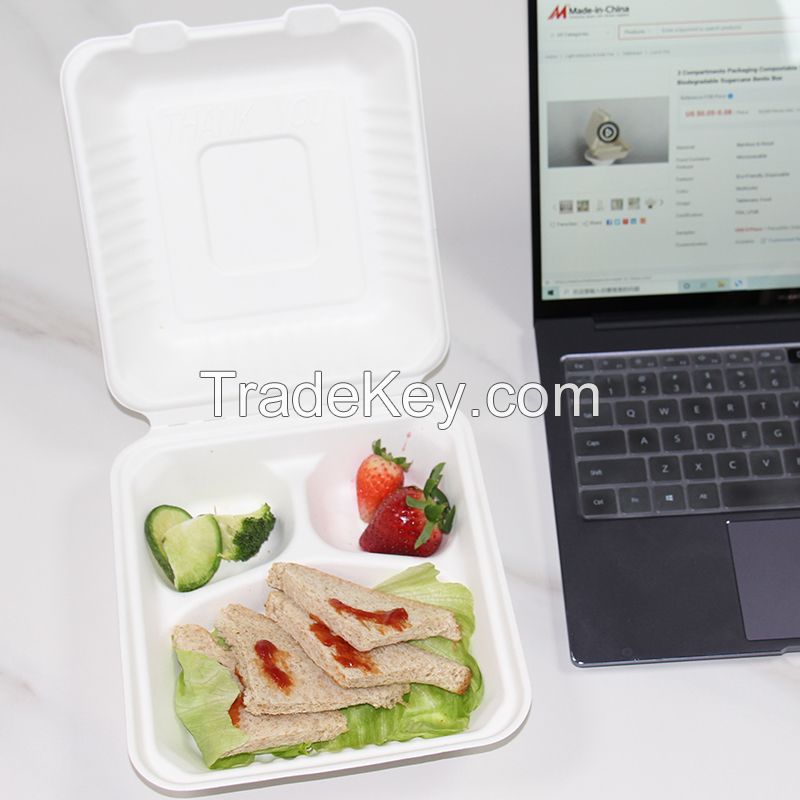 8 Inch Compostable Bagasse Food Container Sugarcane Tableware Biodegradable Food Box