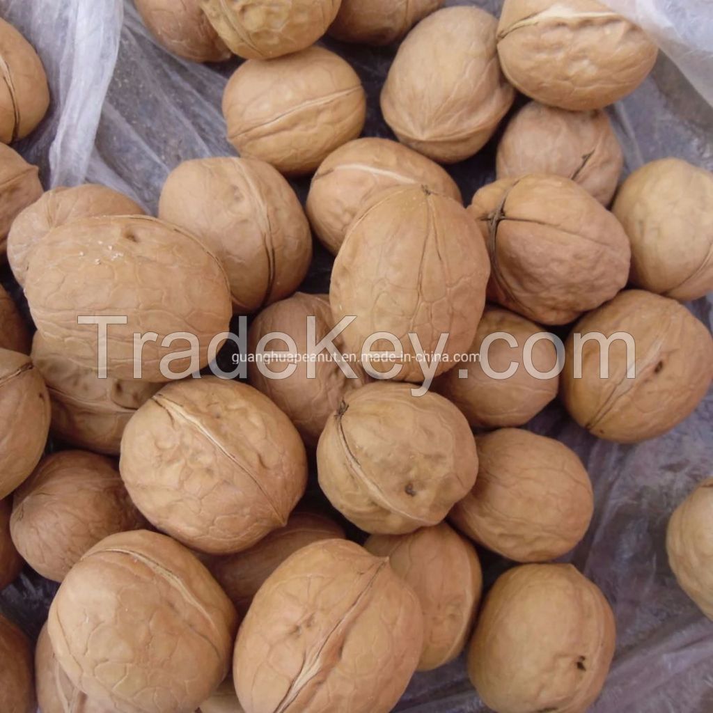 New Crop 2021 Washed Walnut 185 With Best Quality