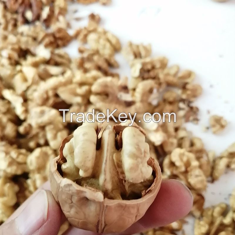 New Crop 2021 Washed Walnut 185 With Best Quality