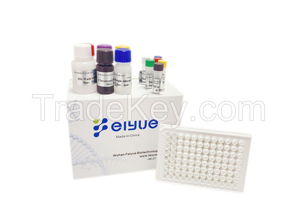 Selling ELISA Kits,Antibodies,Cells for lab test made in China 