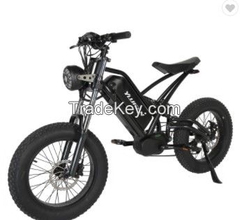 Electric Bike Mid Drive 500W Electric Mountain Bicycle Beach Off Road