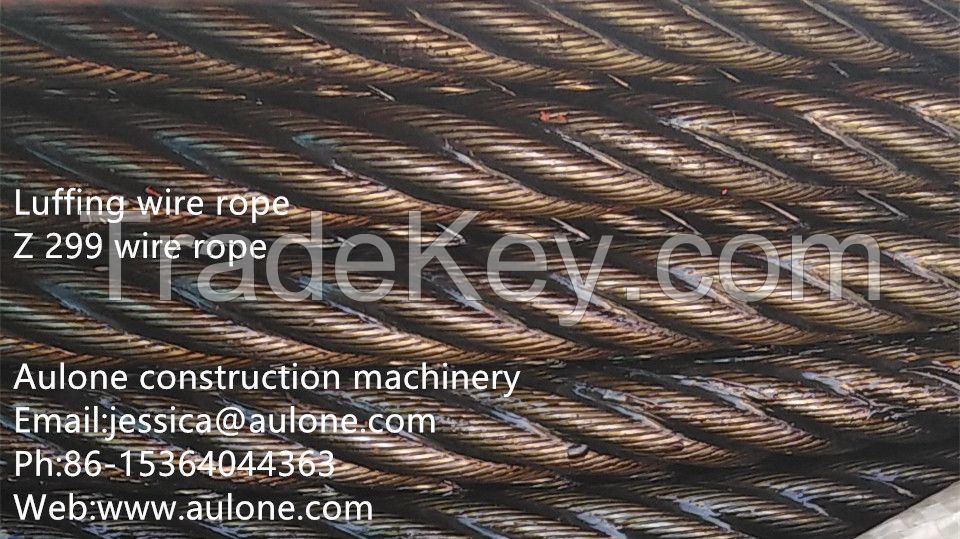 Galvanized 6XK36WS-IWRC Steel Wire Rope