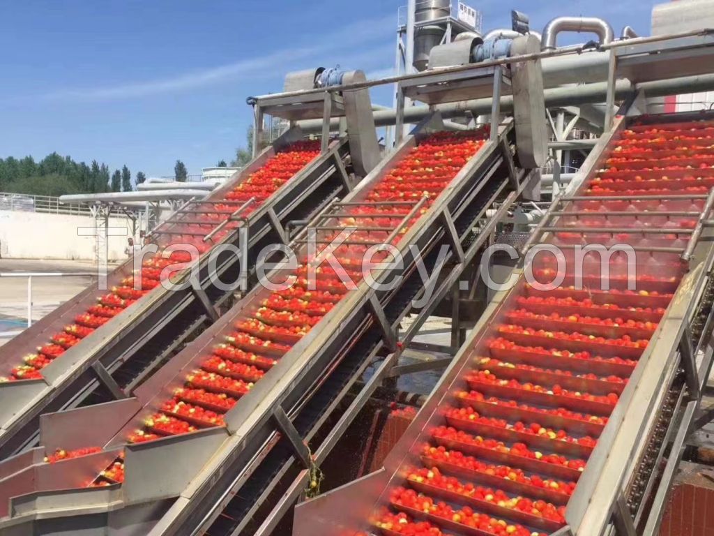 Double Concentrated Tomato Paste Packaging Aseptic Bag in Drums