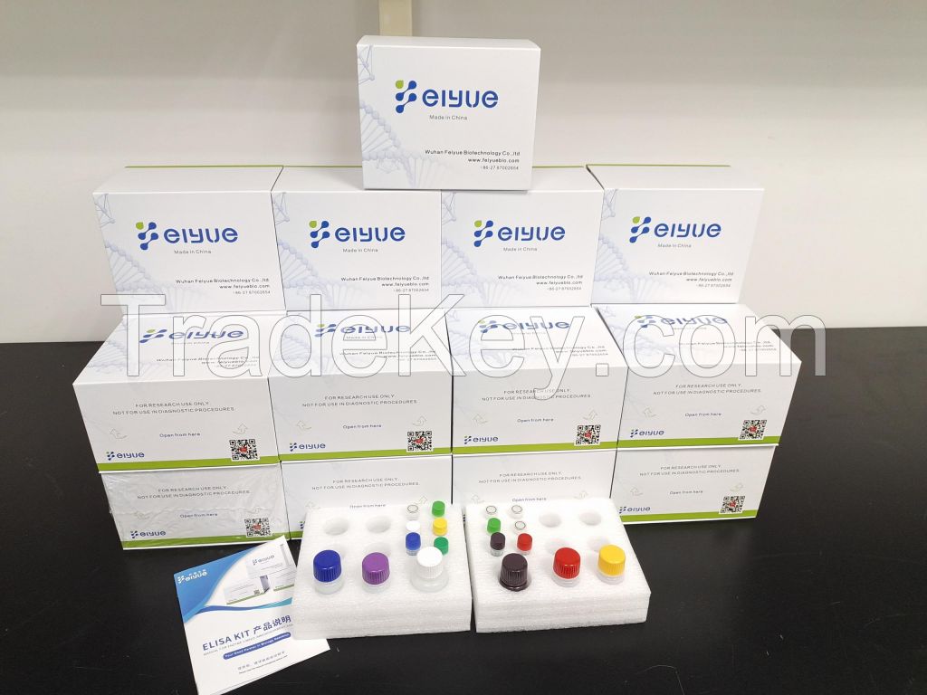 Mouse IL-8(Interleukin 8) ELISA Kit