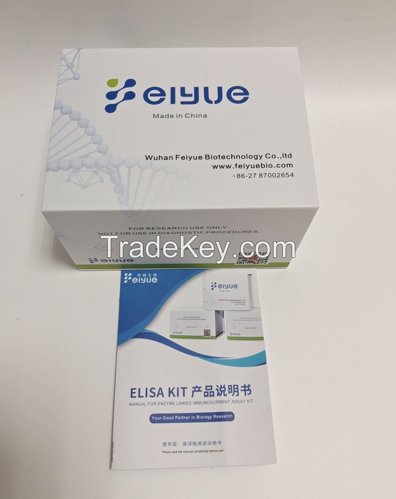 Mouse IL-8(Interleukin 8) ELISA Kit