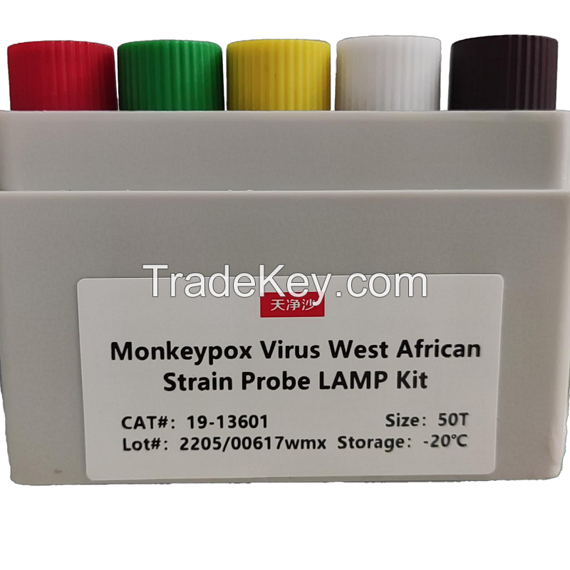 Monkeypox lamp kit pcr kit