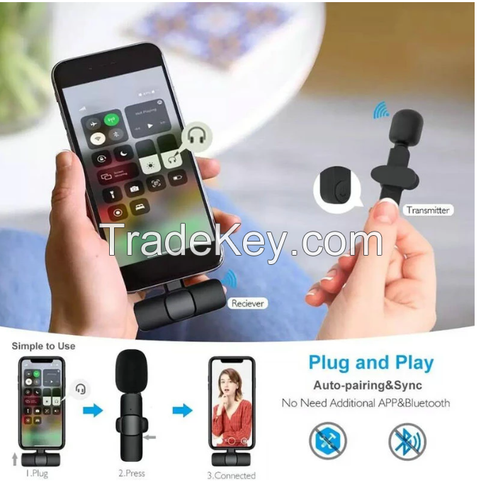Wireless Lavalier Microphone Broadcast Lapel Microphones Set Short Video Recording Chargeable Handheld Microphone Live Streaming