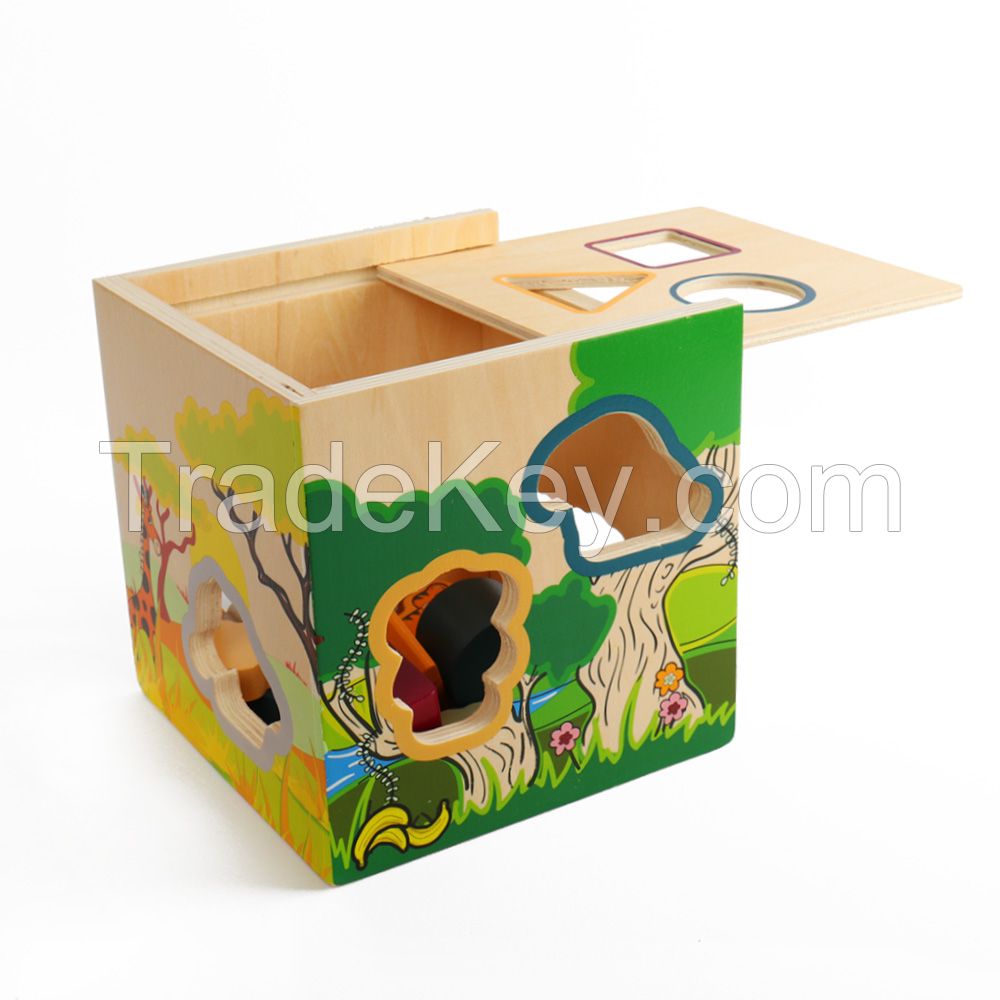 Wooden Kids Shape Sorting Cube