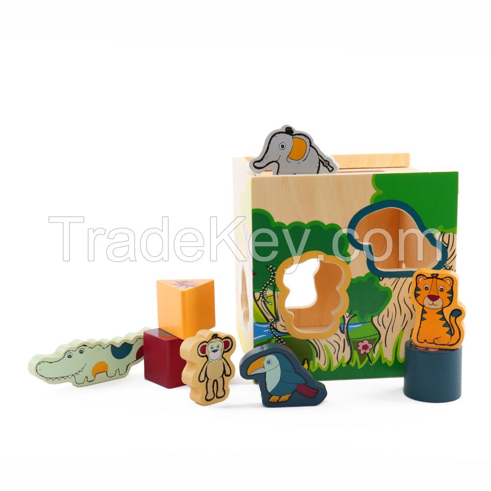 Wooden Kids Shape Sorting Cube