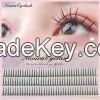 A/M Shaped Lashes Professional Makeup Individual Lashes Cluster