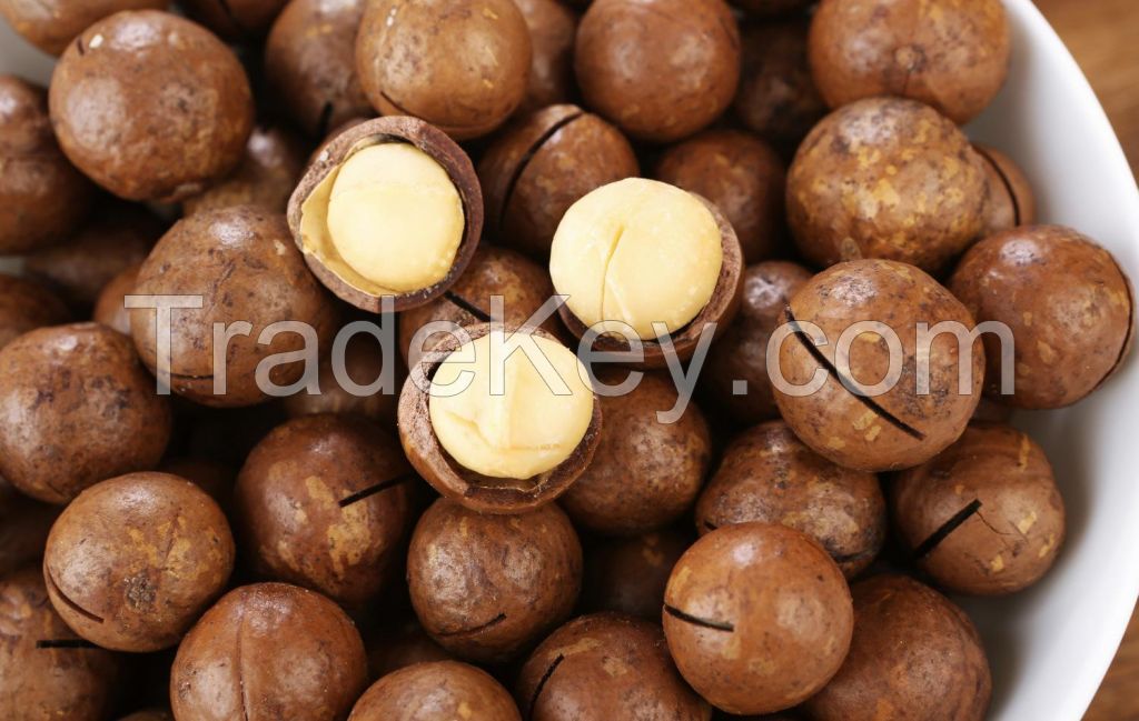 Guangxi Hawaiian nuts, dried fruit, original flavor, fresh picked, bulk